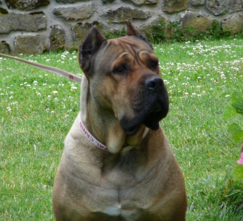 UBIA (Sans Affixe)